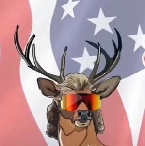 Meet your Posher, Noah